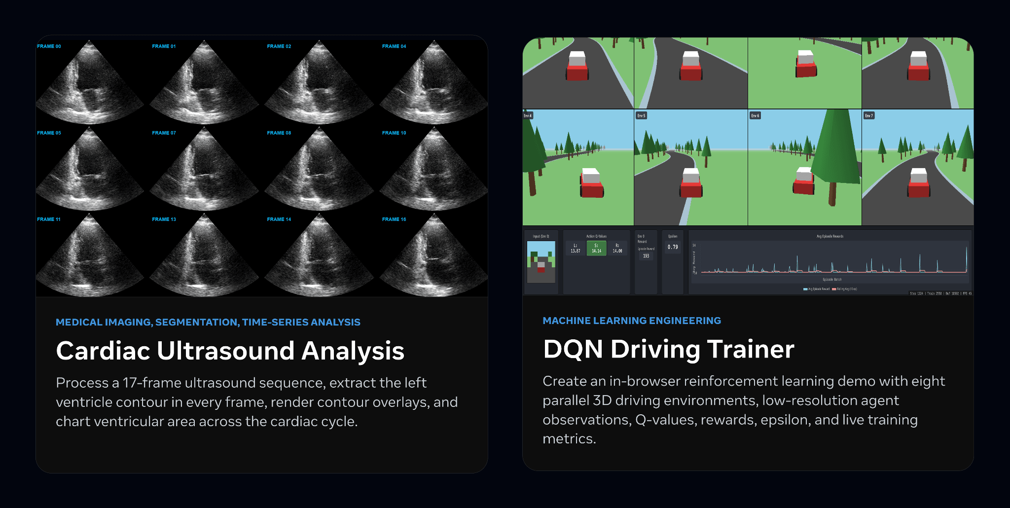 Two WildArtifactBench task examples: analyzing a cardiac ultrasound sequence and creating a DQN driving trainer.